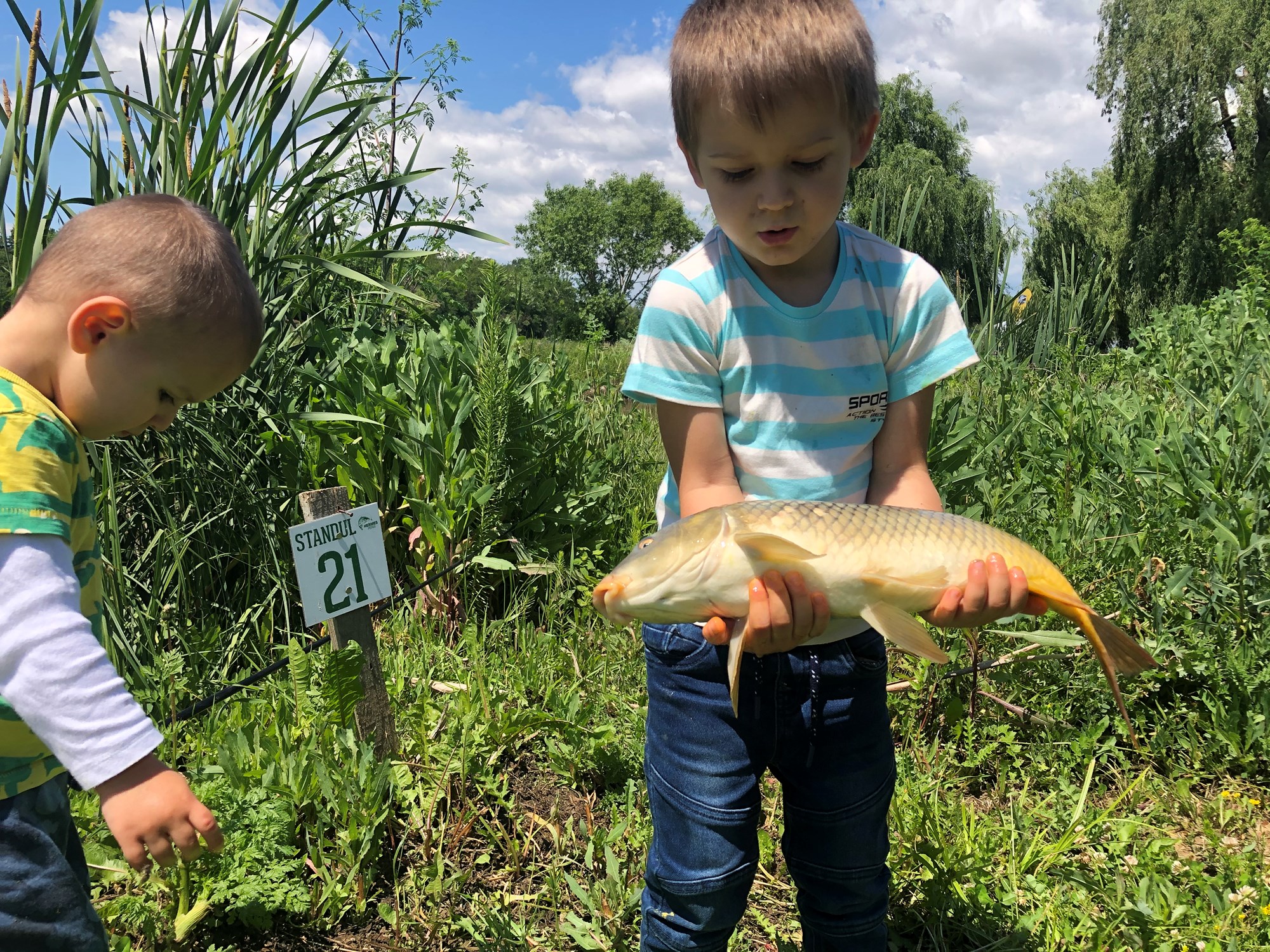 Hermes Peris 1 iun. - 72CB97BF5EF2471A99BB05CF9C908882.jpg